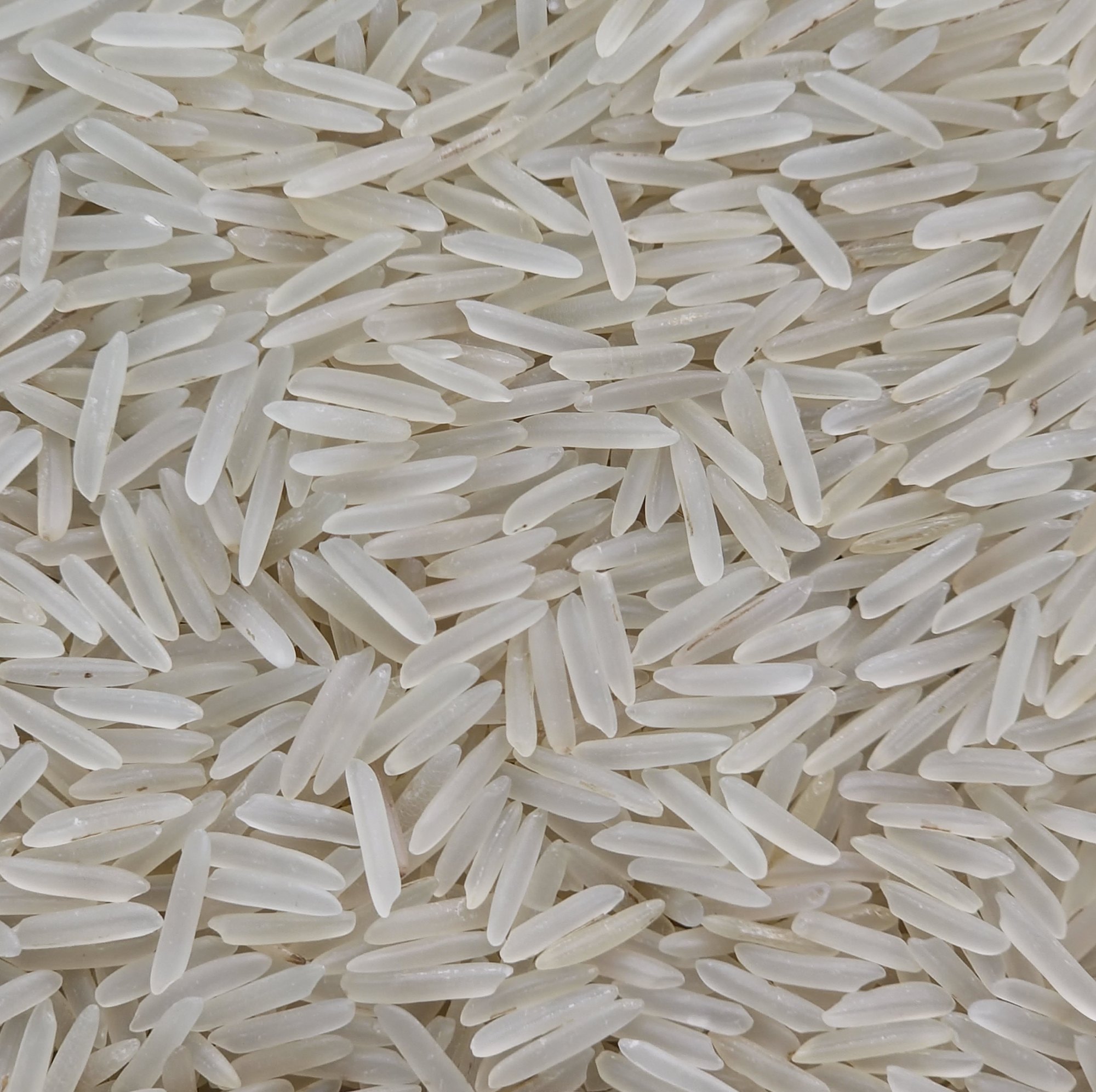 1509 White Creamy Sella Basmati Rice